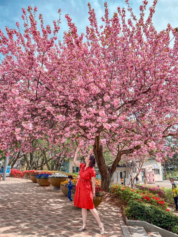 Namsan Health Park, Dangjin (남산건강공원), Chungcheongnam-do