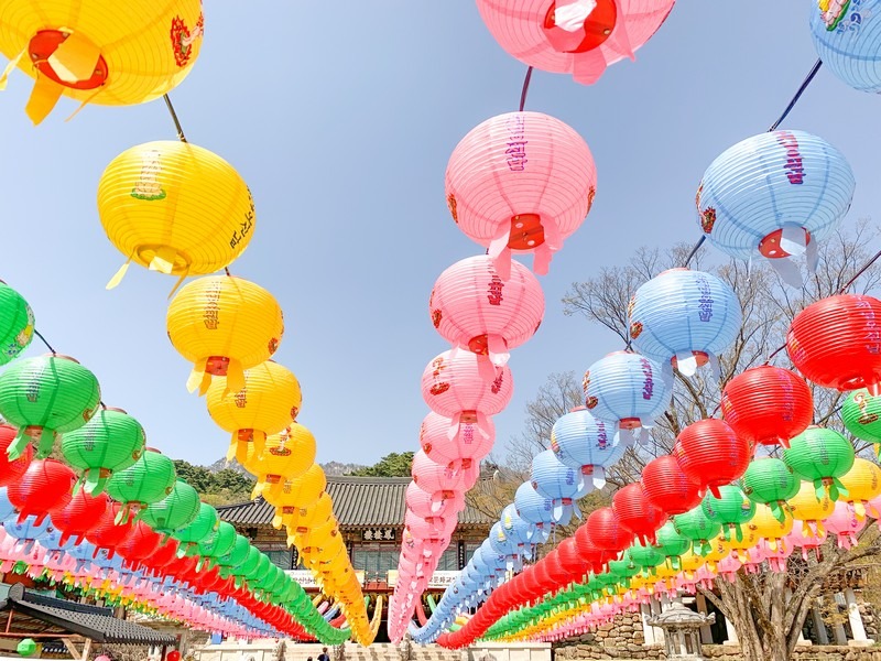 Donghwasa Temple (Daegu) (동화사(대구)), Daegu, Korea: Korean temple, lotus lanterns