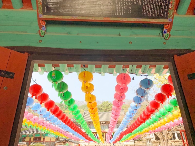 Donghwasa Temple (Daegu) (동화사(대구)), Daegu, Korea: Korean temple, lotus lanterns