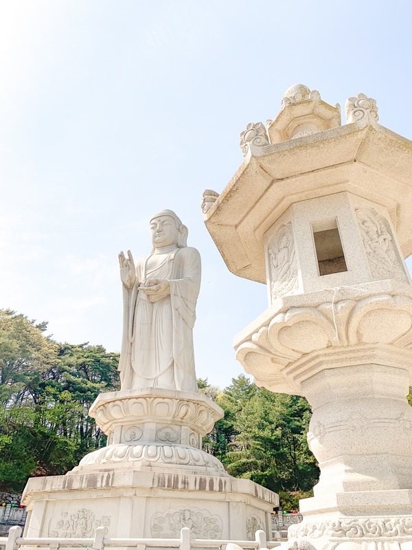 Donghwasa Temple (Daegu) (동화사(대구)), Daegu, Korea: Korean temple, lotus lanterns