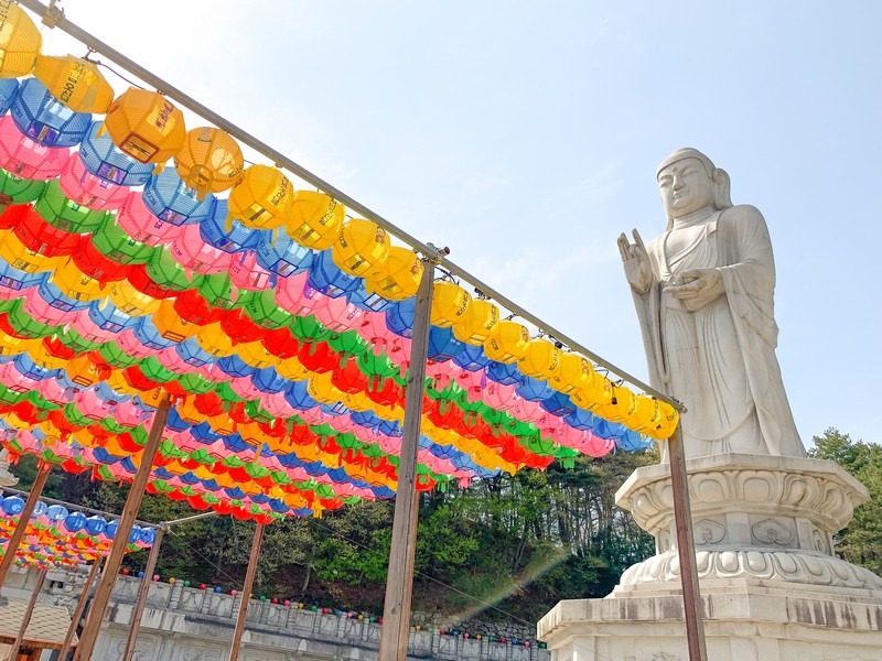 Donghwasa Temple (Daegu) (동화사(대구)), Daegu, Korea: Korean temple, lotus lanterns