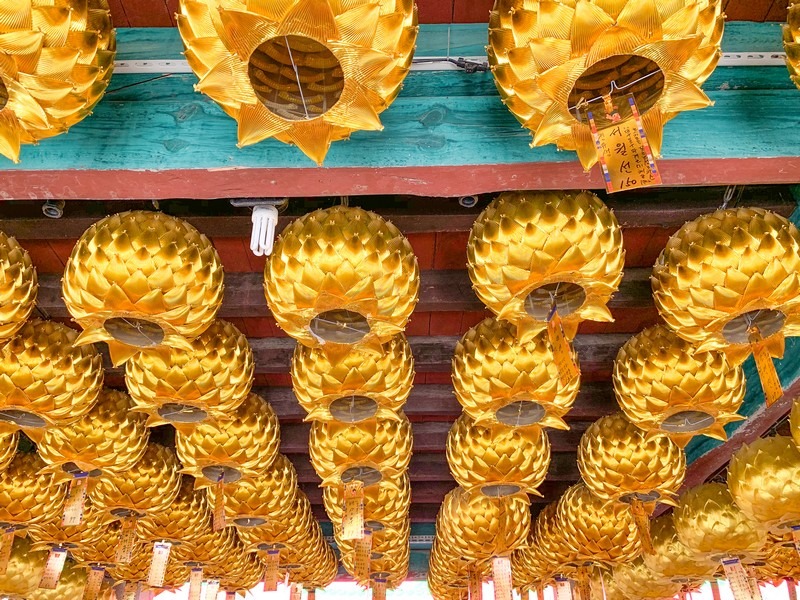 Donghwasa Temple (Daegu) (동화사(대구)), Daegu, Korea: Korean temple, lotus lanterns