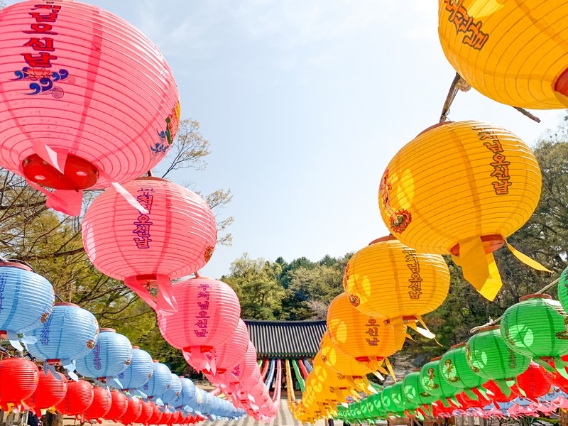 Donghwasa Temple (Daegu) (동화사(대구)), Daegu, Korea: Korean temple, lotus lanterns