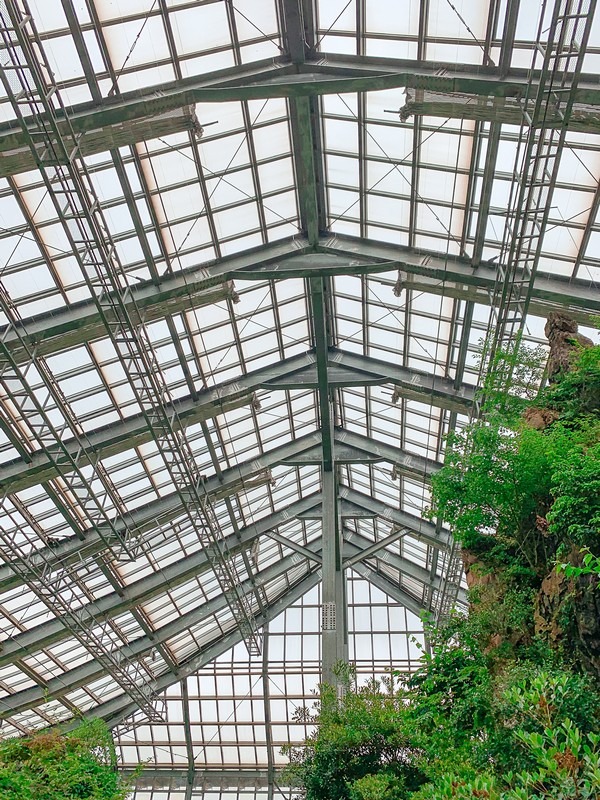 Hwaseong Botanical Garden Greenhouse (화성시 우리꽃 식물원), Hwaseong, Gyeonggi-do, Korea