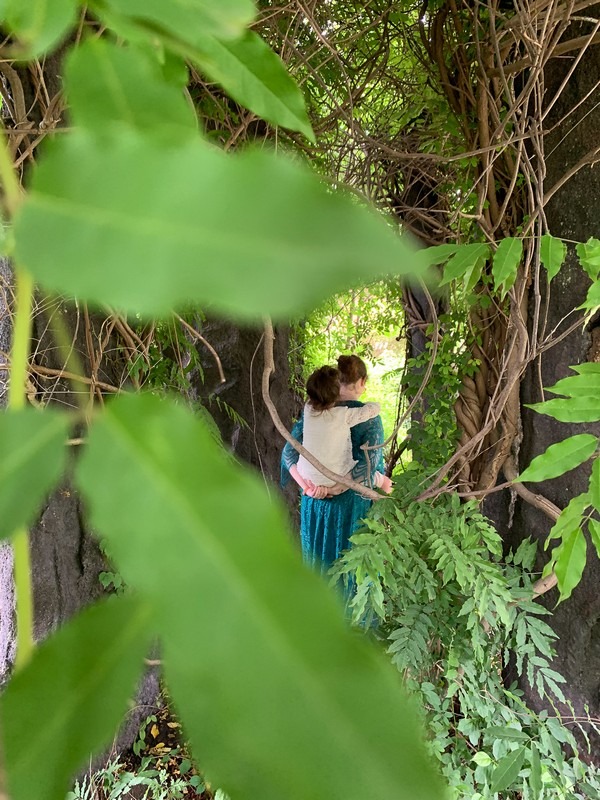 Hwaseong Botanical Garden Greenhouse (화성시 우리꽃 식물원), Hwaseong, Gyeonggi-do, Korea