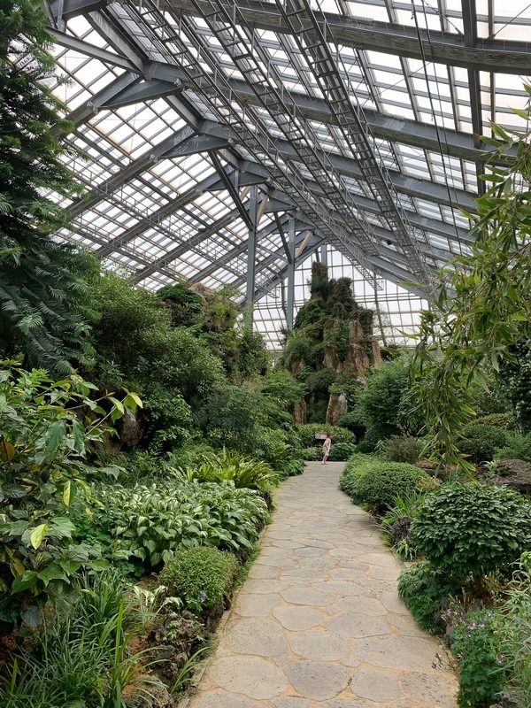 Hwaseong Botanical Garden Greenhouse (화성시 우리꽃 식물원), Hwaseong, Gyeonggi-do, Korea