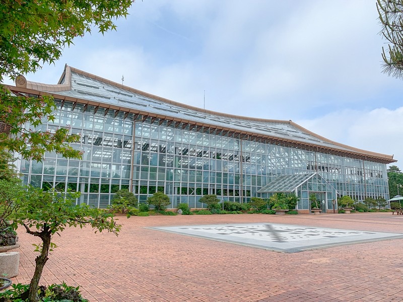 Hwaseong Botanical Garden Greenhouse (화성시 우리꽃 식물원), Hwaseong, Gyeonggi-do, Korea