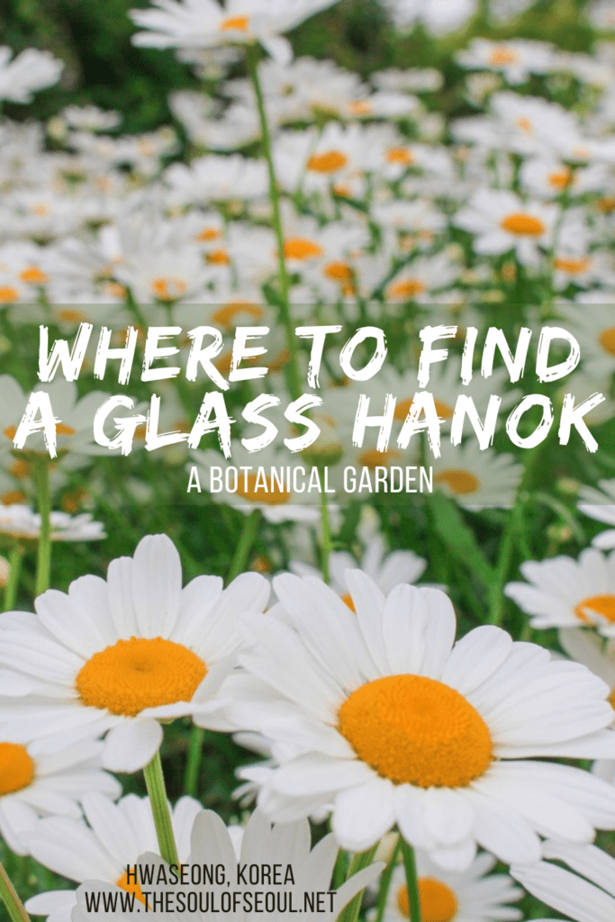 The Glass Hanok To Find In Hwaseong at the Hwaseong Botanical Garden: The Hwaseong Botanical Garden is stunning and features a beautiful glass Hanok greenhouse. Get ready to take an adventure in Korea.