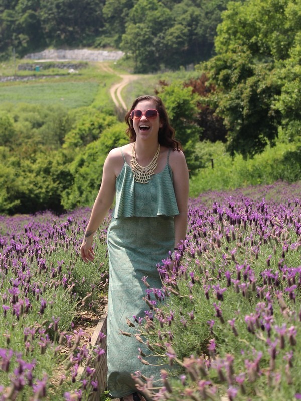 lavender in Korea, lavender field in Korea, Hallie Bradley