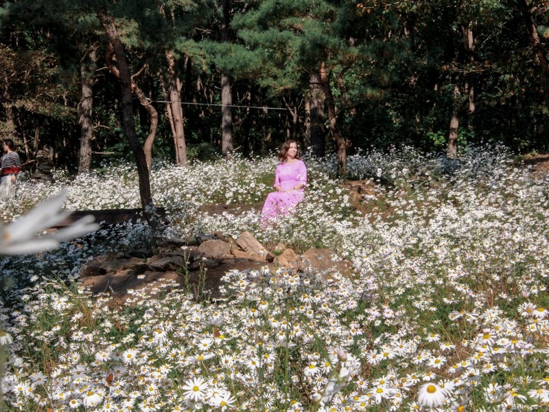 Yulgok Botanical Garden (율곡수목원), Paju, Gyeonggi-do, Korea