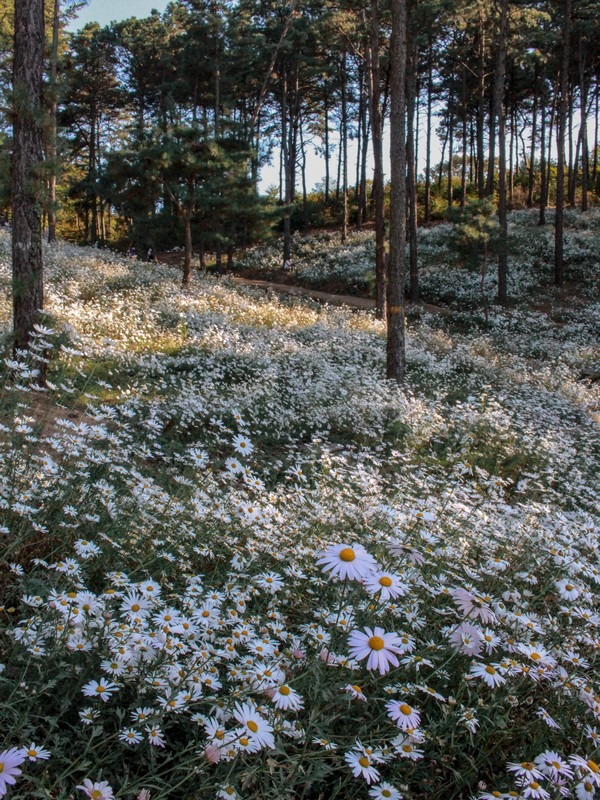 Yulgok Botanical Garden (율곡수목원), Paju, Gyeonggi-do, Korea