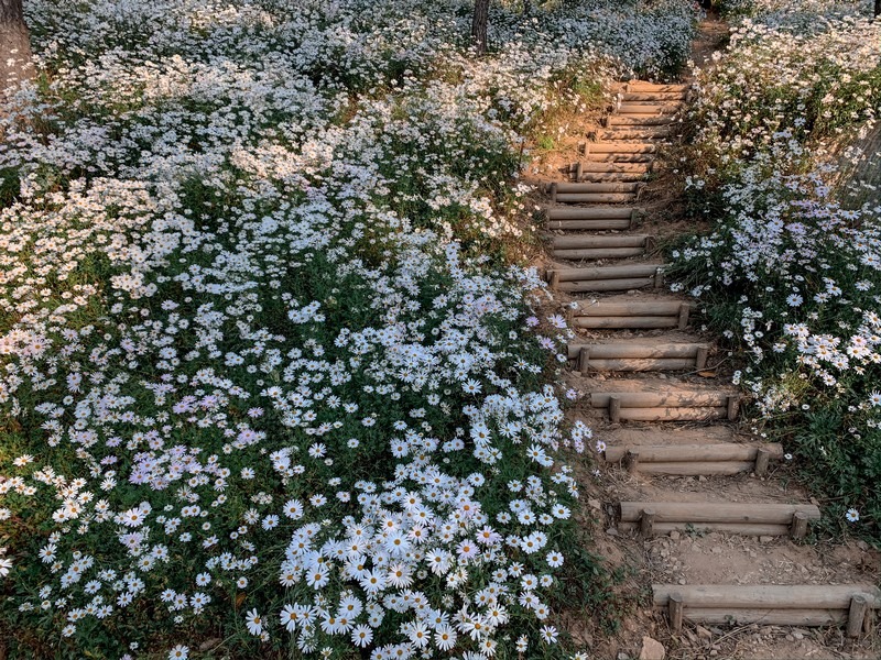 Yulgok Botanical Garden (율곡수목원), Paju, Gyeonggi-do, Korea