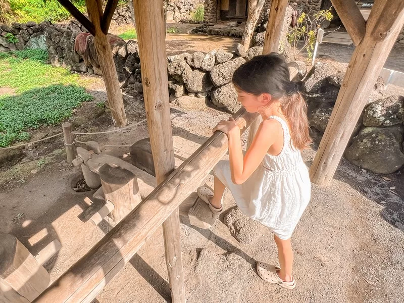 Jeju Folk Village (제주민속촌), Jeju Island, Korea