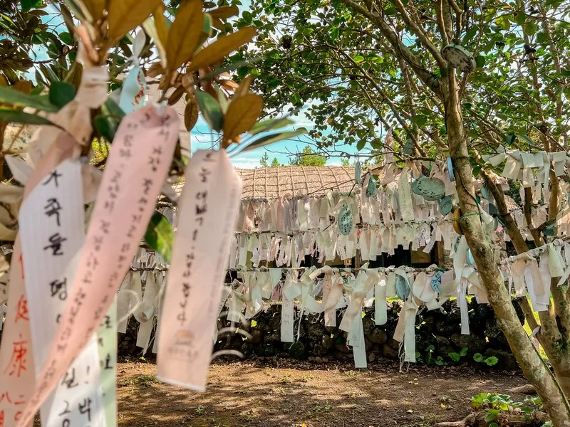 Jeju Folk Village (제주민속촌), Jeju Island, Korea