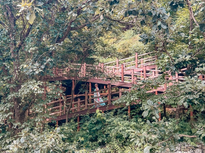 Jwagusan Recreational Forest (좌구산 자연휴양림), Jeungpyeong, Chungcheongbuk-do, Korea