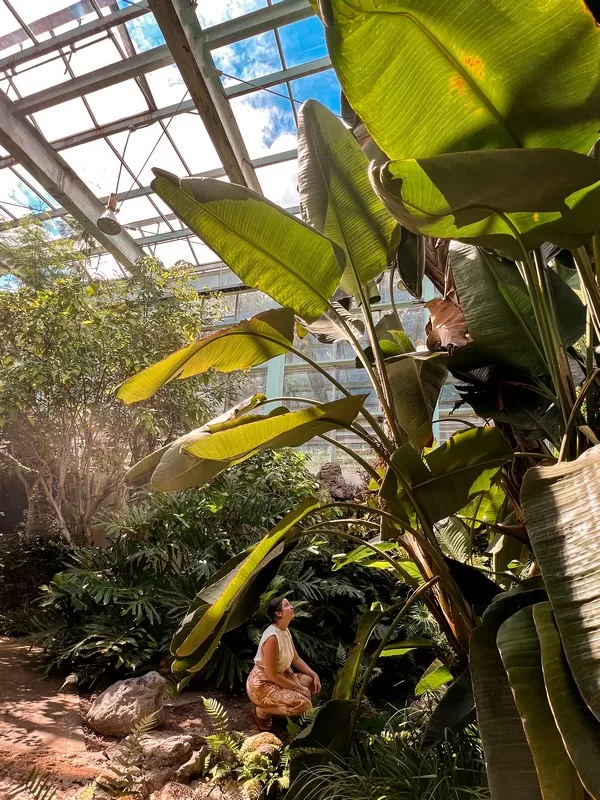 Jeju Citrus Museum (감귤박물관), Jeju Island, Korea