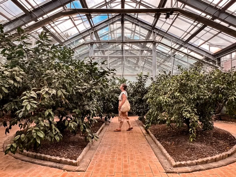 Jeju Citrus Museum (감귤박물관), Jeju Island, Korea