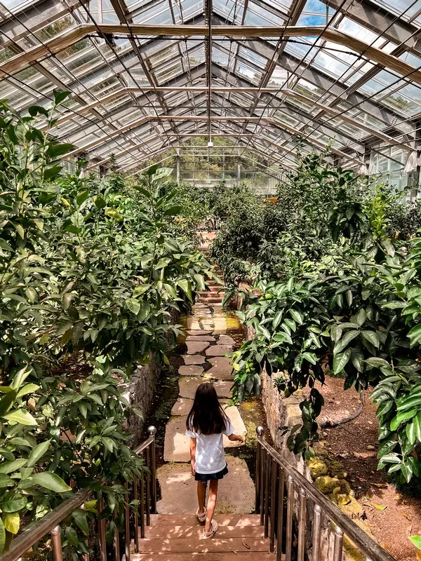 Jeju Citrus Museum (감귤박물관), Jeju Island, Korea