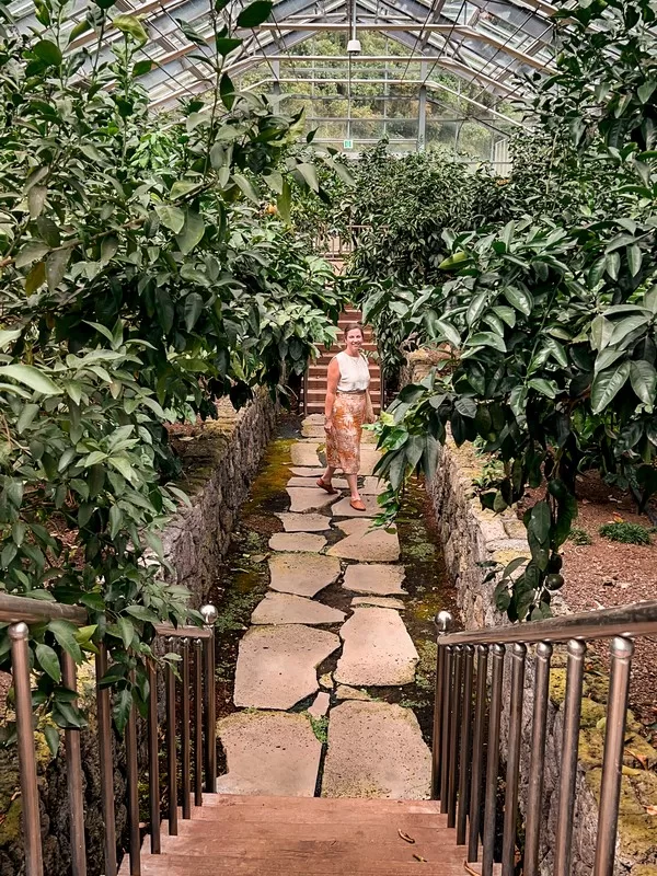 Jeju Citrus Museum (감귤박물관), Jeju Island, Korea