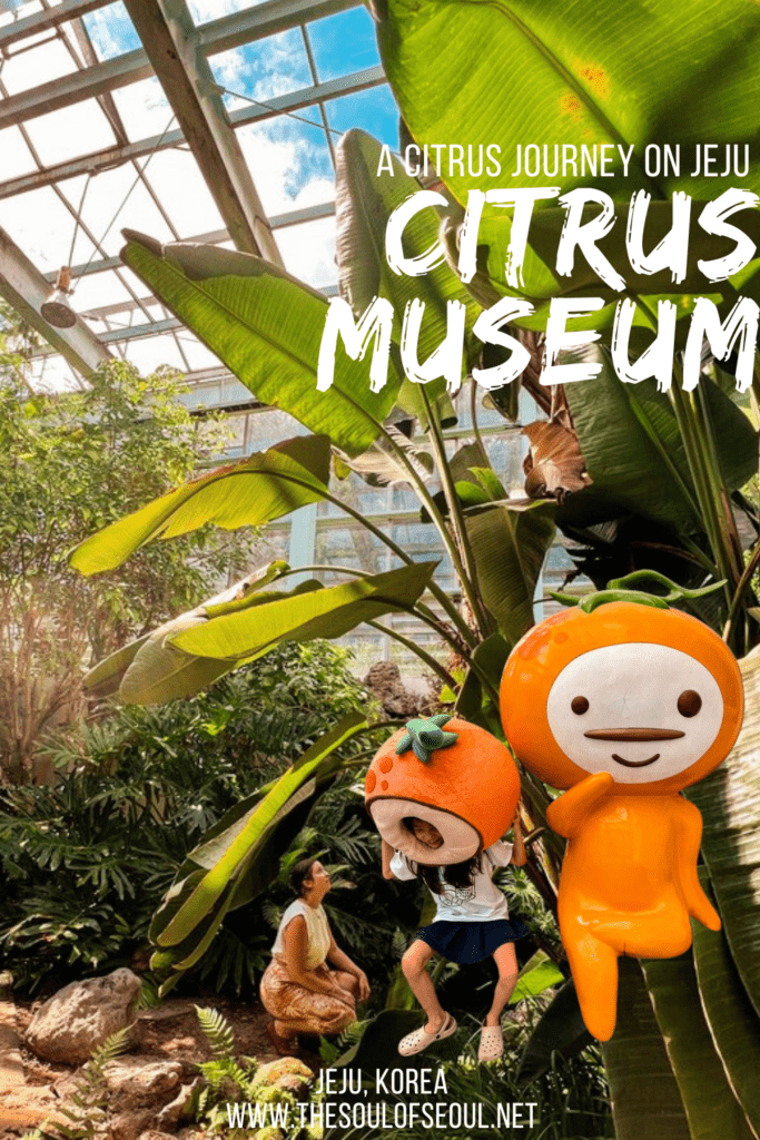 Jeju Citrus Museum: Where To Begin Your Jeju Hallabang Journey: Any good citrus adventure on Jeju Island should start with some history and culture and you can get both at the Jeju Citrus Museum.