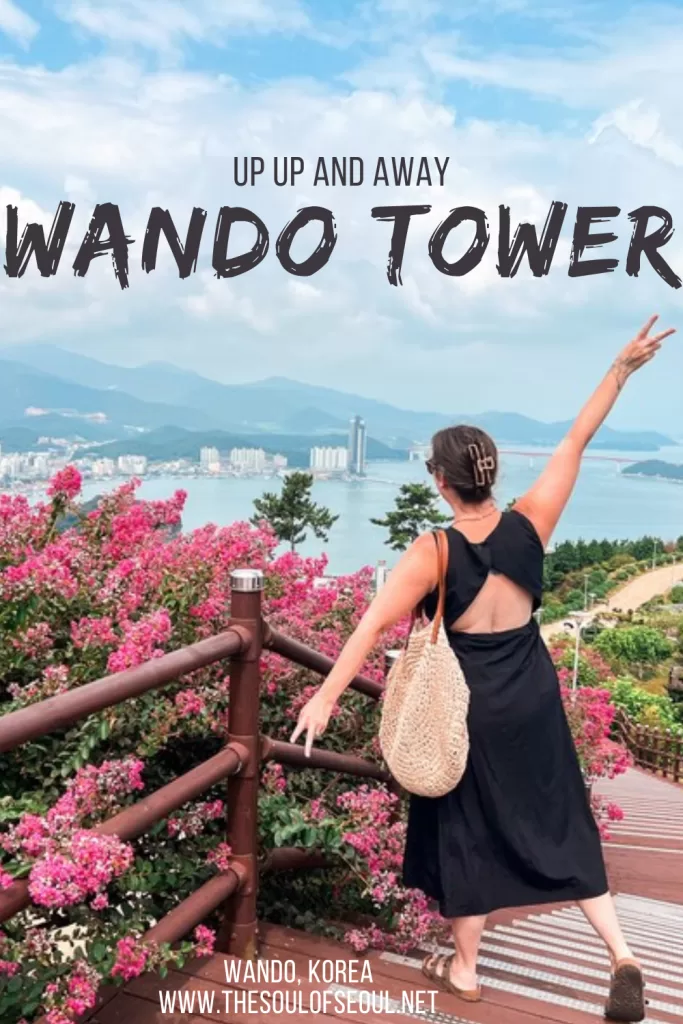 The Most Touristy Thing In Wando Is A Tower: Wando Tower is the most touristy thing in Wando and it's a great thing to do with kids. Don't miss it!