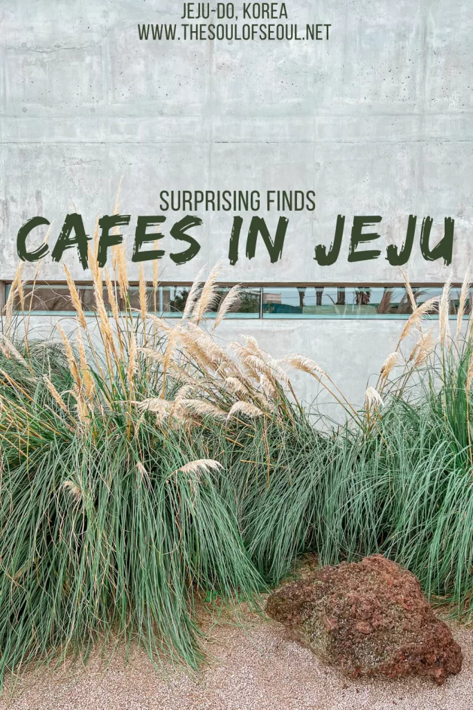 Cafes In Jeju Island You Don't Want To Miss: From modern to rustic, there are fantastic cafes to find on Jeju Island. Get ready to explore.