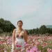 Cafe Glencoe (카페 글렌코), Jeju-si, Jeju-do, Korea; cafe, pink cosmos