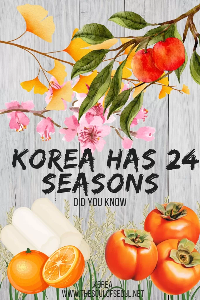 Did you know Korea has 24 seasons?: Learn about the traditional Korean calendar, the food, and the agricultural culture you can experience.