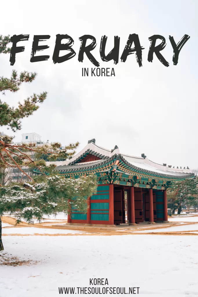 Korea In February: The Weather, Tips From A Local, Flowers and Things To Do: Get ready for the Korean winter wonderland this February. Everything you need to do, see, and eat.