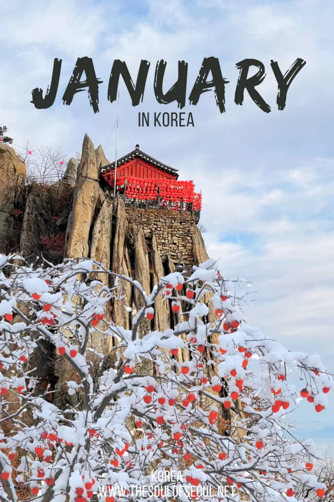 Korea In January: The Weather, Tips From A Local, Flowers and Things To Do: Get ready for the Korean winter wonderland this January. Everything you need to do, see, and eat.