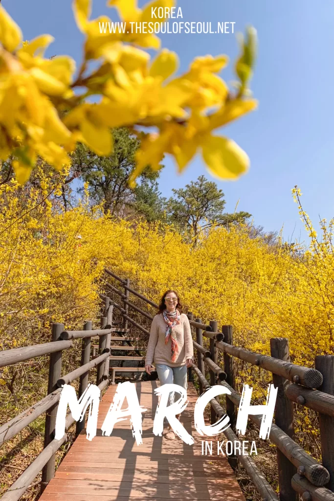 Korea in March: The Weather, Tips From A Local, Flowers and Things To Do: Get ready for the start of spring in Korea. Everything you need to do, see, and eat. The events, festivals, and more!