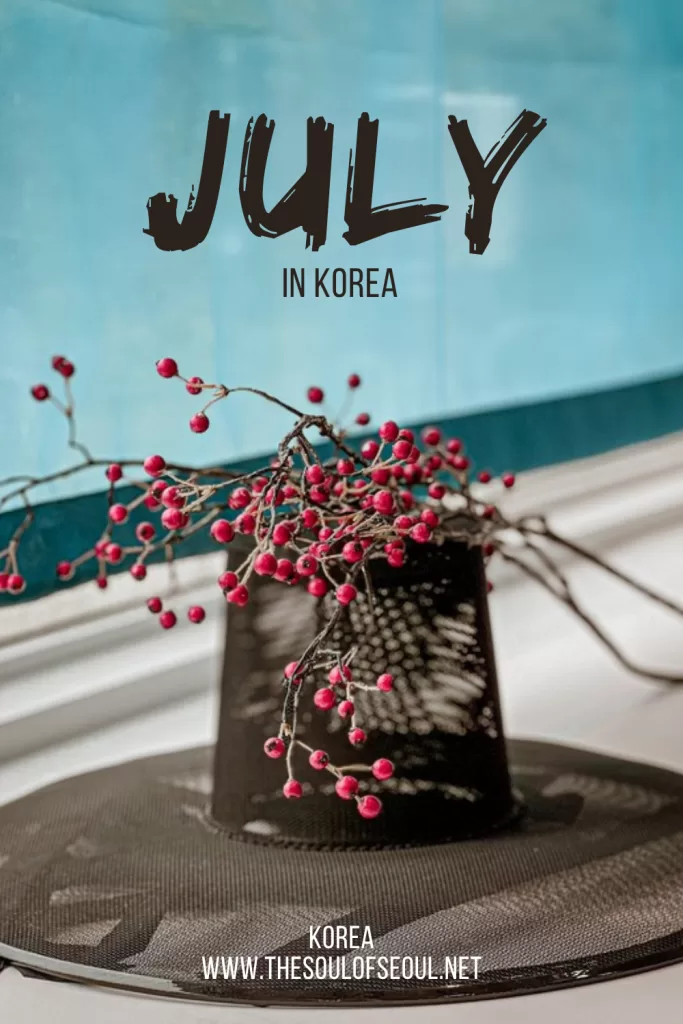 Korea In July: The Weather, Tips From A Local, Flowers and Things To Do: Get ready for summer in Korea. Everything you need to do, see, and eat this June. The events, festivals, and more!