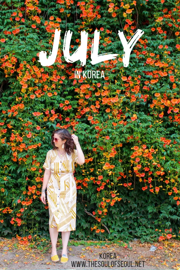 Korea In July: The Weather, Tips From A Local, Flowers and Things To Do: Get ready for summer in Korea. Everything you need to do, see, and eat this June. The events, festivals, and more!