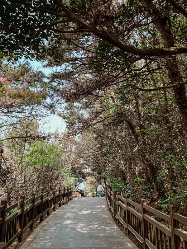 Seongsan Ilchulbong (성산일출봉), Seogwipo-si, Jeju-do, Korea