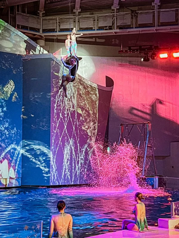 Aqua Planet Jeju (아쿠아플라넷 제주), Seogwipo-si, Jeju-do, Korea