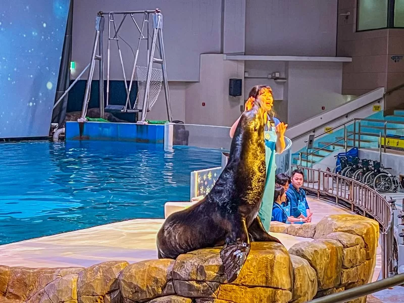 Aqua Planet Jeju (아쿠아플라넷 제주), Seogwipo-si, Jeju-do, Korea