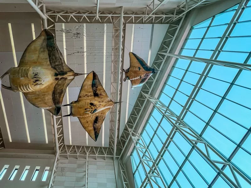 Aqua Planet Jeju (아쿠아플라넷 제주), Seogwipo-si, Jeju-do, Korea