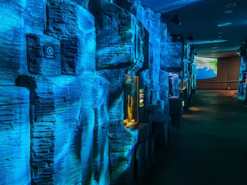 Aqua Planet Jeju (아쿠아플라넷 제주), Seogwipo-si, Jeju-do, Korea
