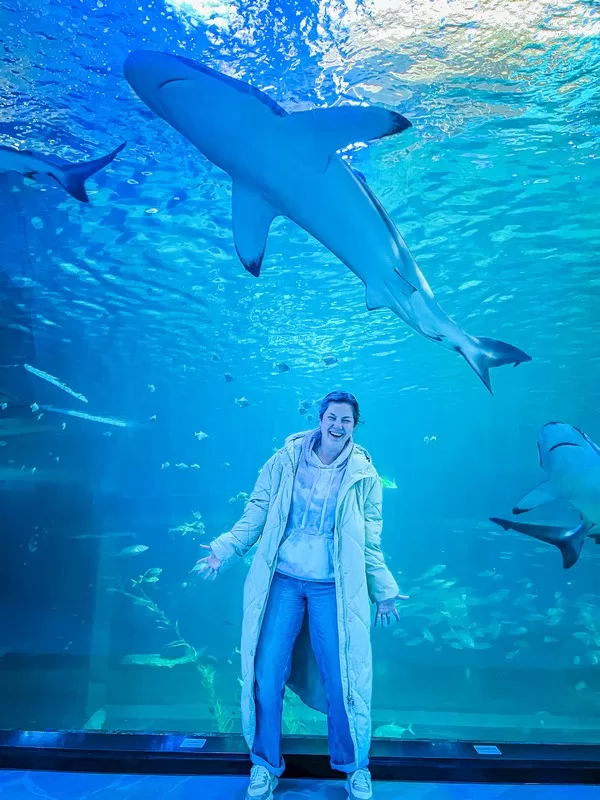 Aqua Planet Jeju (아쿠아플라넷 제주), Seogwipo-si, Jeju-do, Korea