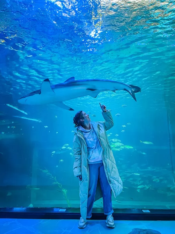 Aqua Planet Jeju (아쿠아플라넷 제주), Seogwipo-si, Jeju-do, Korea
