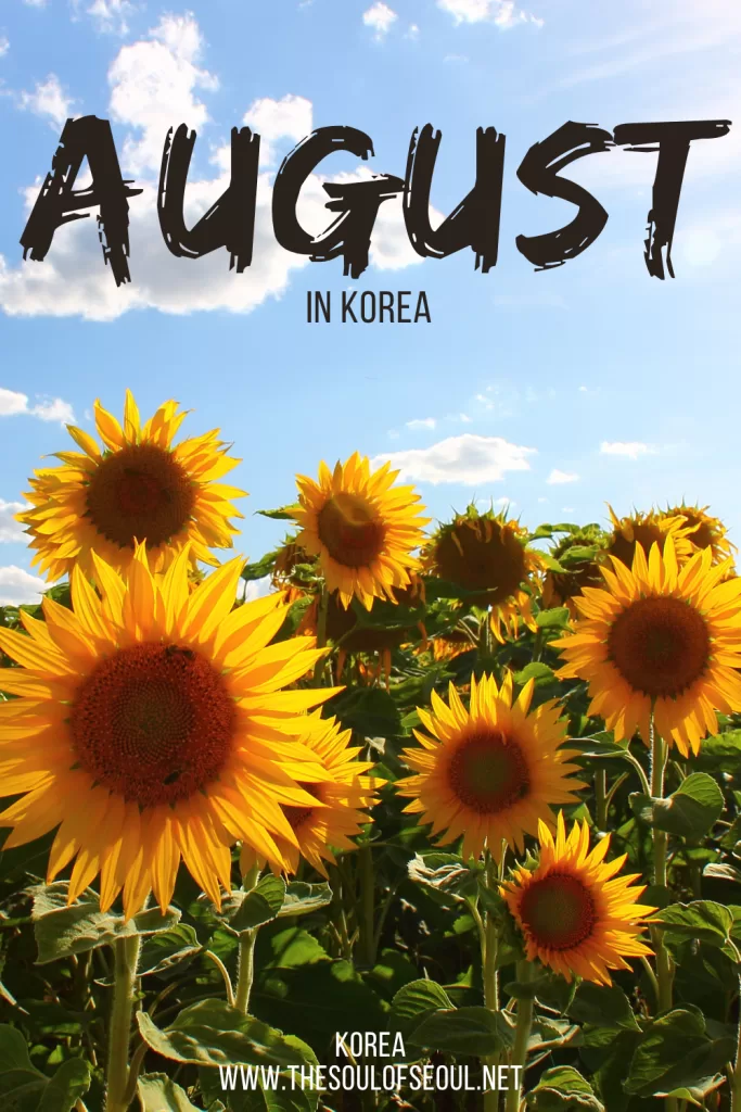 Korea In August: The Weather, Tips From A Local, Flowers and Things To Do: Get ready for summer in Korea. Everything you need to do, see, and eat this July. The events, festivals, and more!