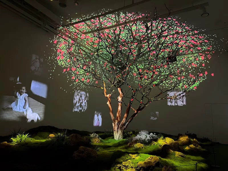 Podo Museum (포도뮤지엄), Jeju Island, Korea; art museum in Jeju