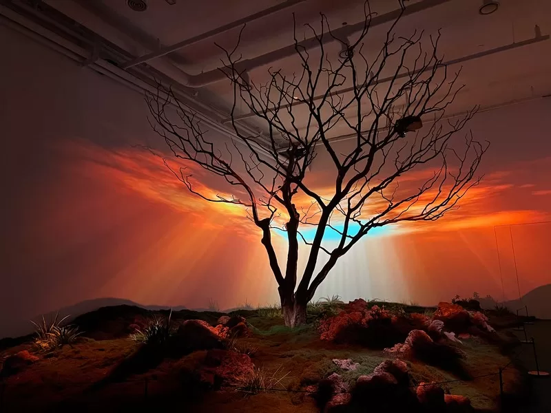 Podo Museum (포도뮤지엄), Jeju Island, Korea; art museum in Jeju
