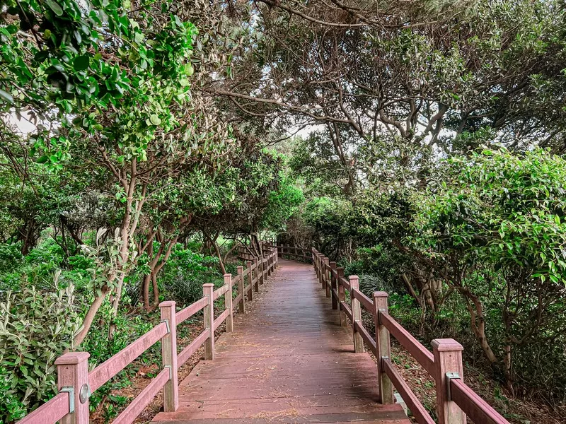 Saeyeongyo Bridge (새연교), Saeseom Island (새섬), Seogwipo-si, Jeju-do, Korea