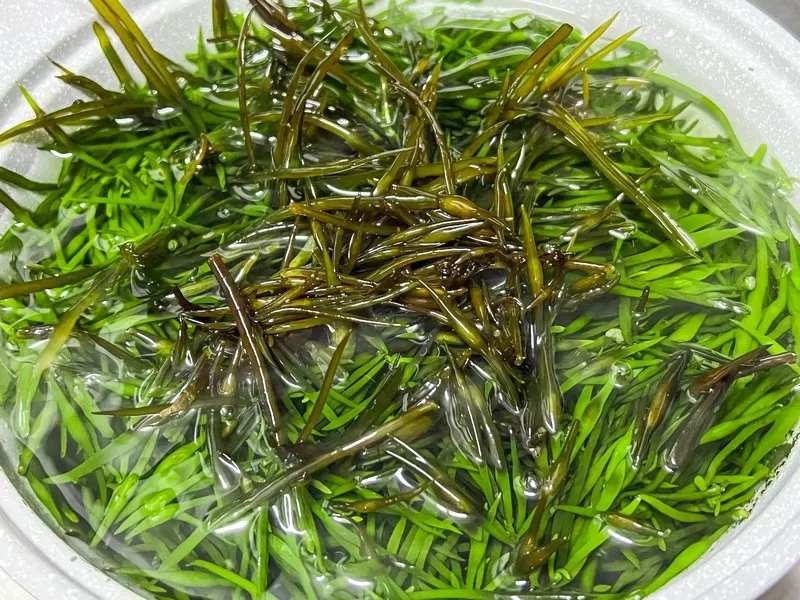 tot (톶), Korean food, seaweed