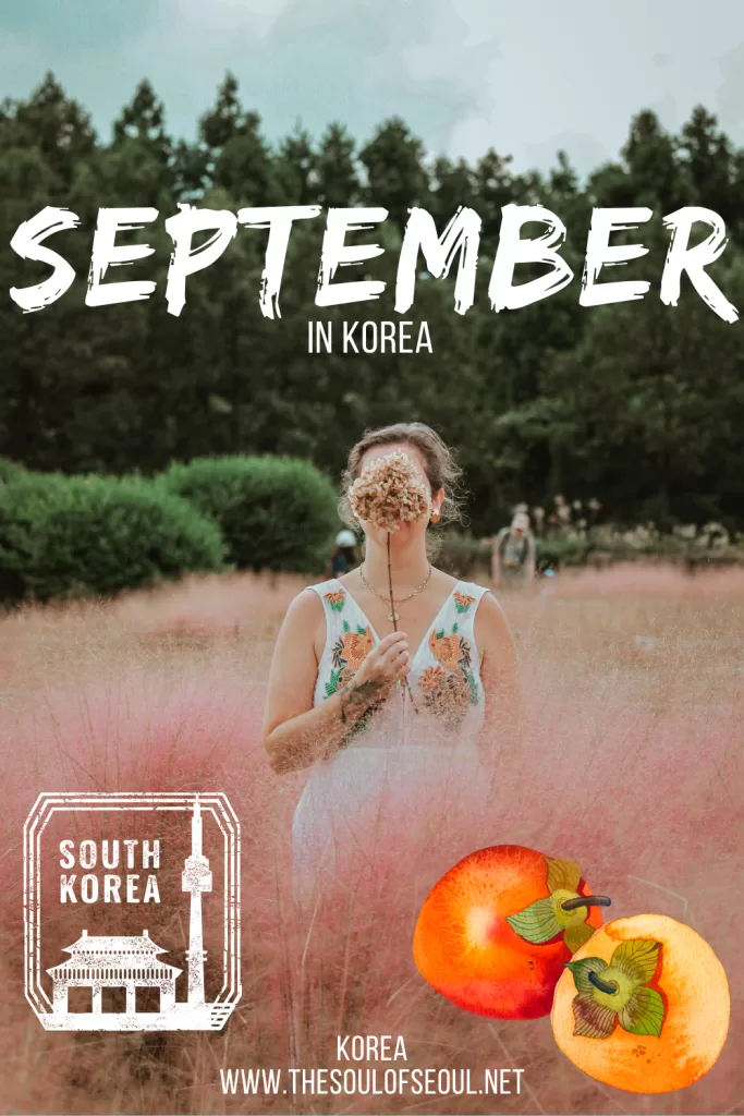 Korea In September: The Weather, Travel Tips, Flowers and Things To Do: Get ready for autumn in Korea. Everything you need to do, see, and eat this September. The events, festivals, and more!