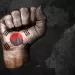 Korean flag, taegukgi