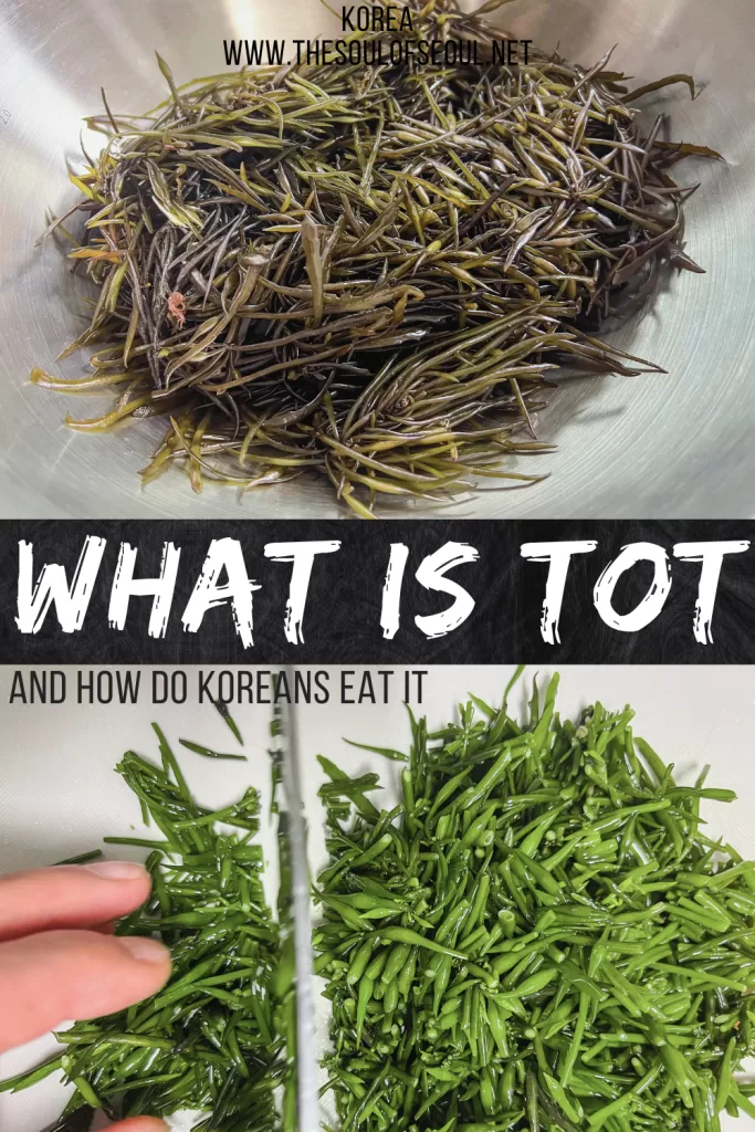Tot Seaweed in Korea: How to Eat It, Why It’s Healthy, and Where to Try It: Discover tot (톳), a traditional Korean seaweed also known as hijiki. Learn how Koreans eat tot, its health benefits, and where to try it on Jeju Island.