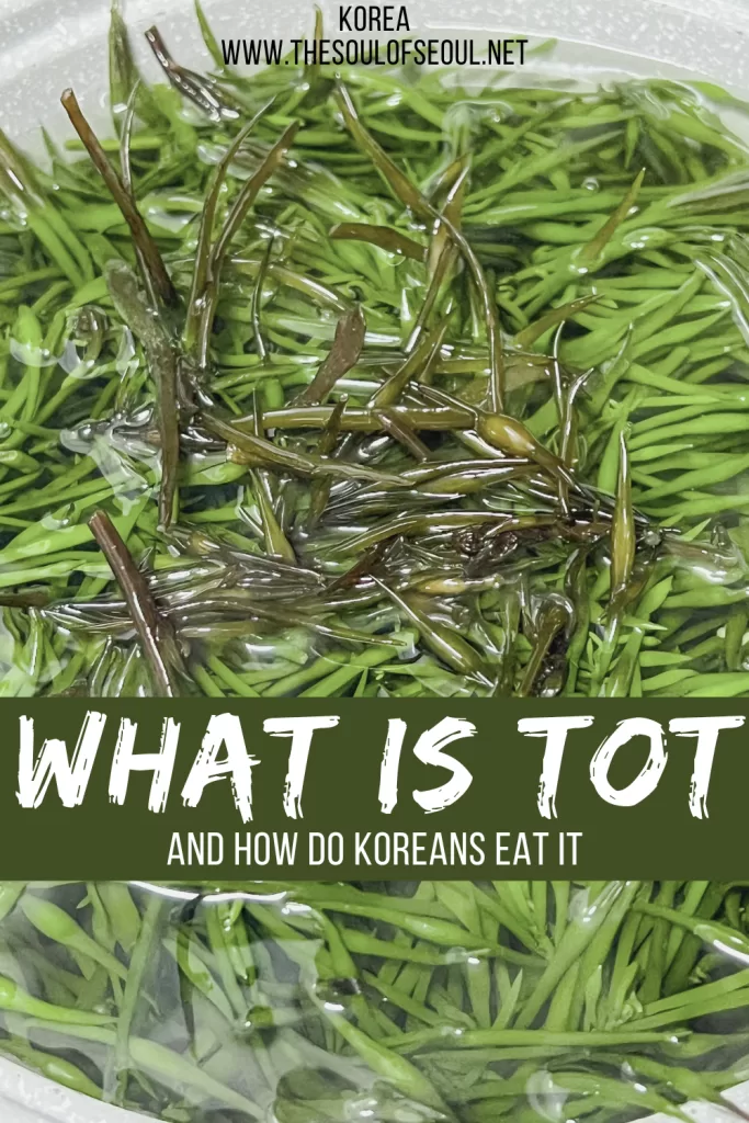 Tot Seaweed in Korea: How to Eat It, Why It’s Healthy, and Where to Try It: Discover tot (톳), a traditional Korean seaweed also known as hijiki. Learn how Koreans eat tot, its health benefits, and where to try it on Jeju Island.