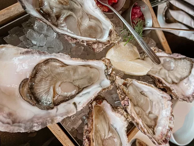Jinjak Kakii (진작 카키), Jongno-gu, Seoul, Korea, oysters in Seoul